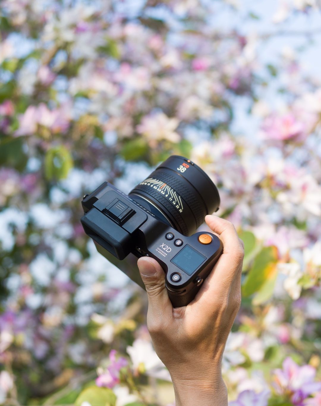 Hasselblad X2d 100c Body Hasselblad X2d 100c Body