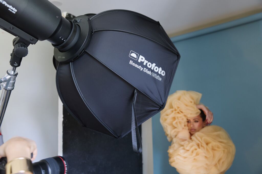 Profoto Beauty Dish Silver Profoto Beauty Dish Silver