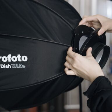 Profoto Beauty Dish Silver Profoto Beauty Dish Silver
