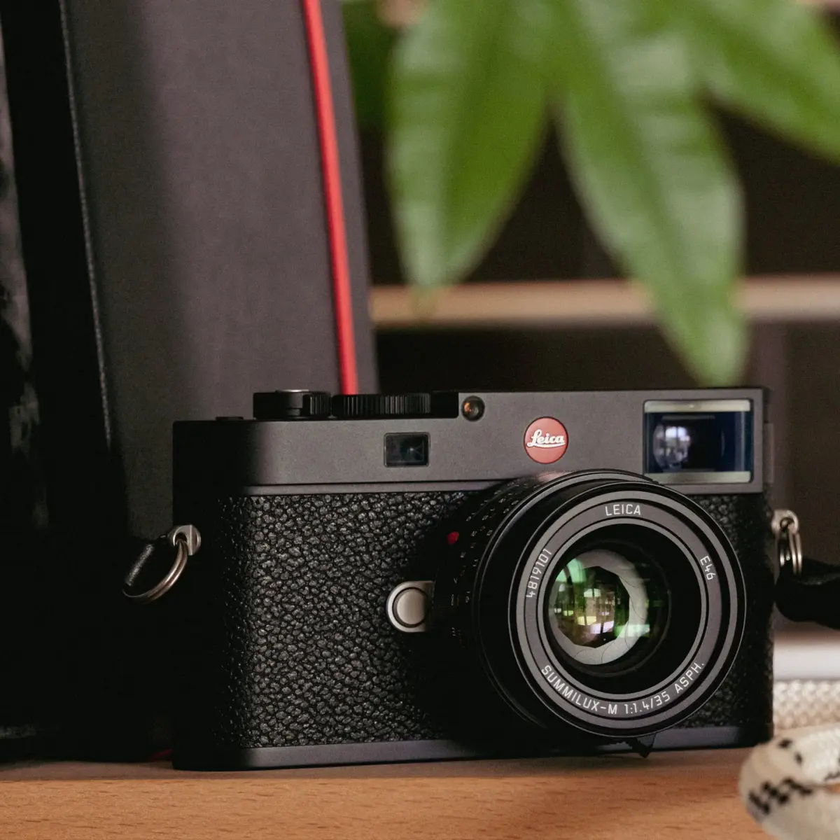 Newsletter pop-up image header