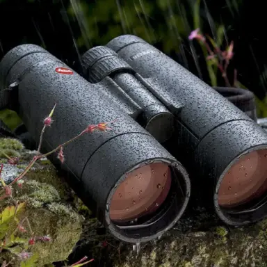 Binoculars Binoculars