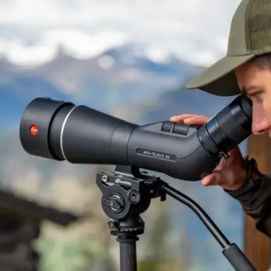 Leica Apo Televid 82 Angled 45 With Zoom Eyepiece 25x 50x Ww Asph Leica Apo Televid 82 Angled 45 With Zoom Eyepiece 25x 50x Ww Asph