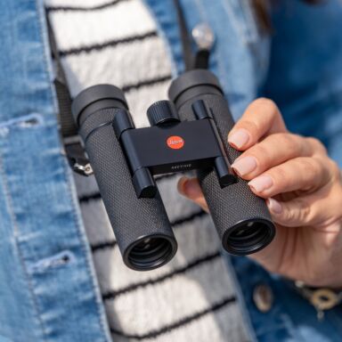 Leica Noctivid Compact 8x25 Black Leather Compact Binoculars Leica Noctivid Compact 8×25 Black Leather Compact Binoculars