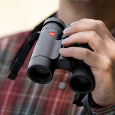 Leica Ultravid 8x32 Hd Plus Black Binoculars Leica Ultravid 8×32 Hd Plus Black Binoculars