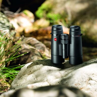 Leica Ultravid 8x42 Hd Plus Black Binoculars Leica Ultravid 8×42 Hd Plus Black Binoculars