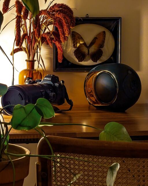 Devialet Phantom Ultimate 108 Db Deep Forest Speaker Devialet Phantom Ultimate 108 Db Deep Forest Speaker