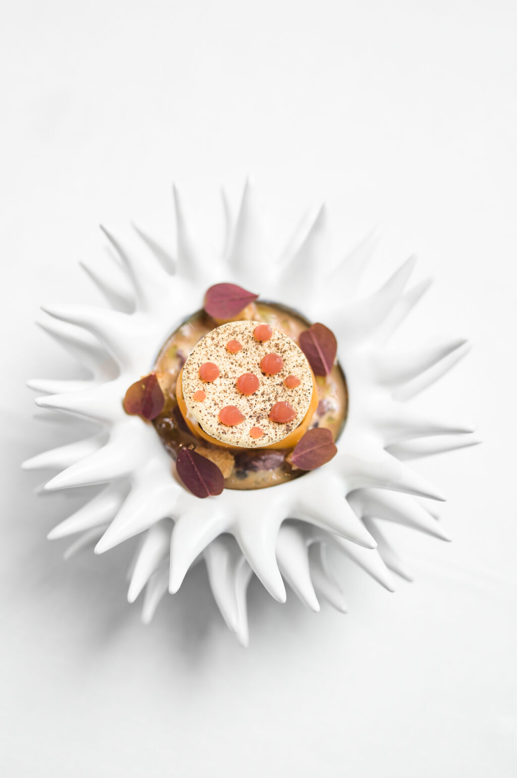Liva Food Photography With Chef David Lim Liva Food Photography With Chef David Lim